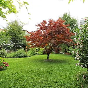  Appartement Nigler Oostenrijk